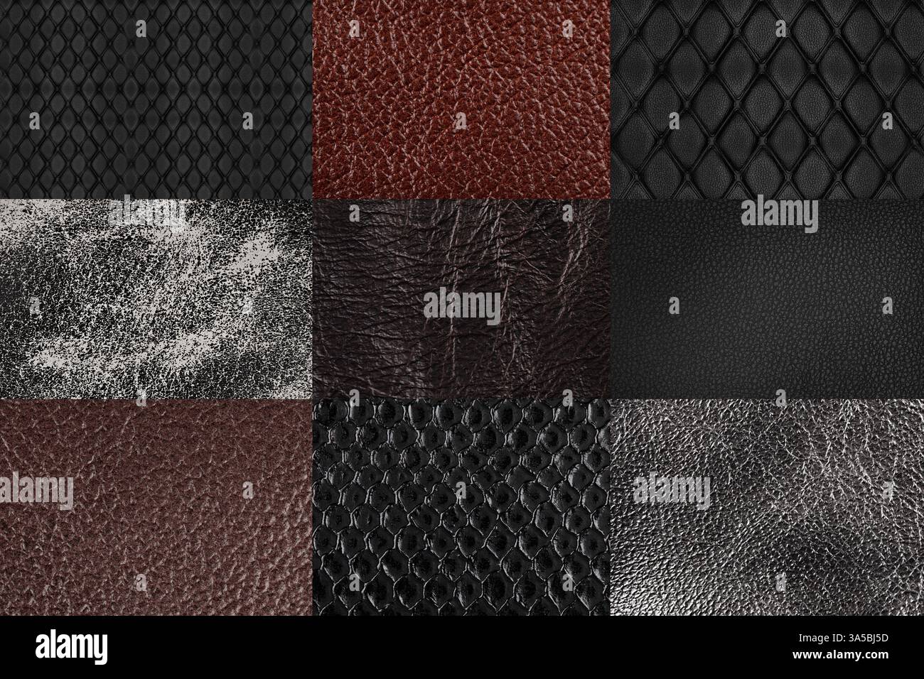 Set di diversi sfondi di pelle animale testurizzata. Foto Stock