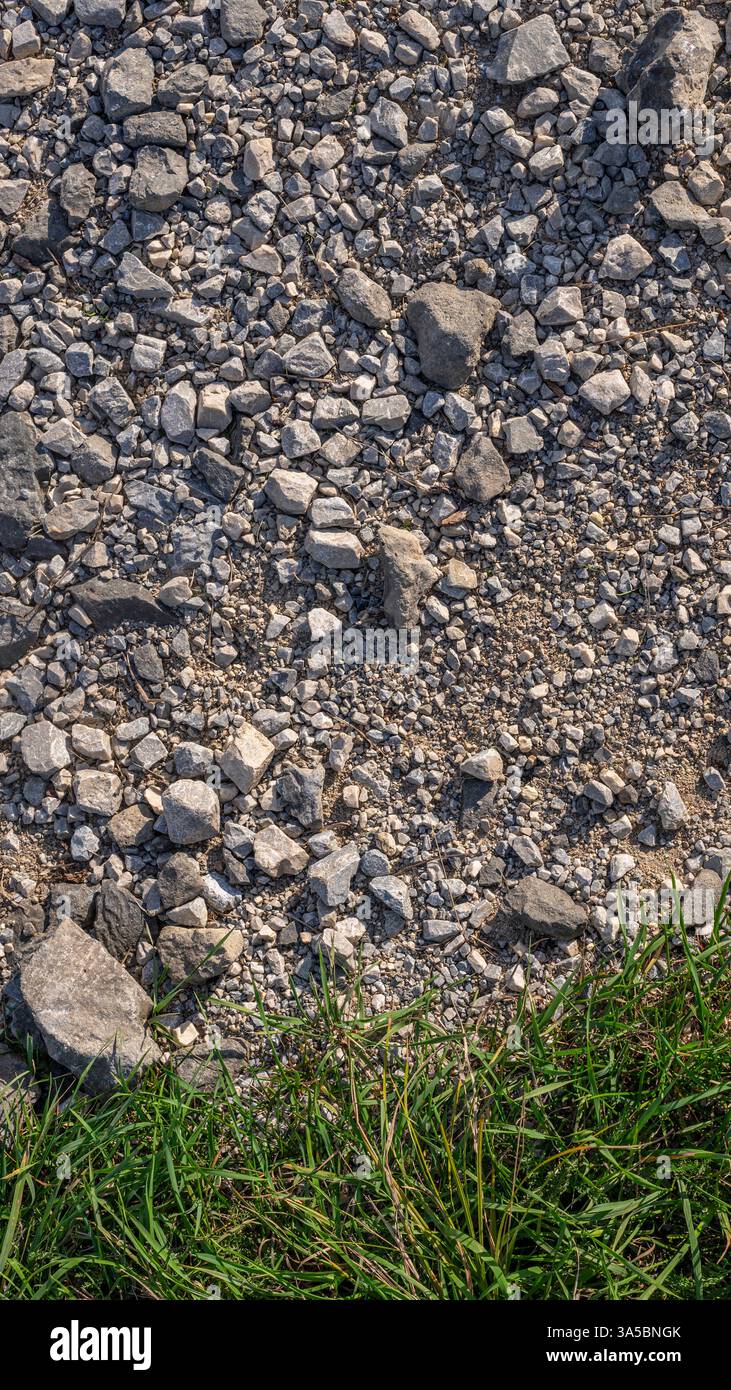9x16 Gravel texture erba verde fondo Foto Stock