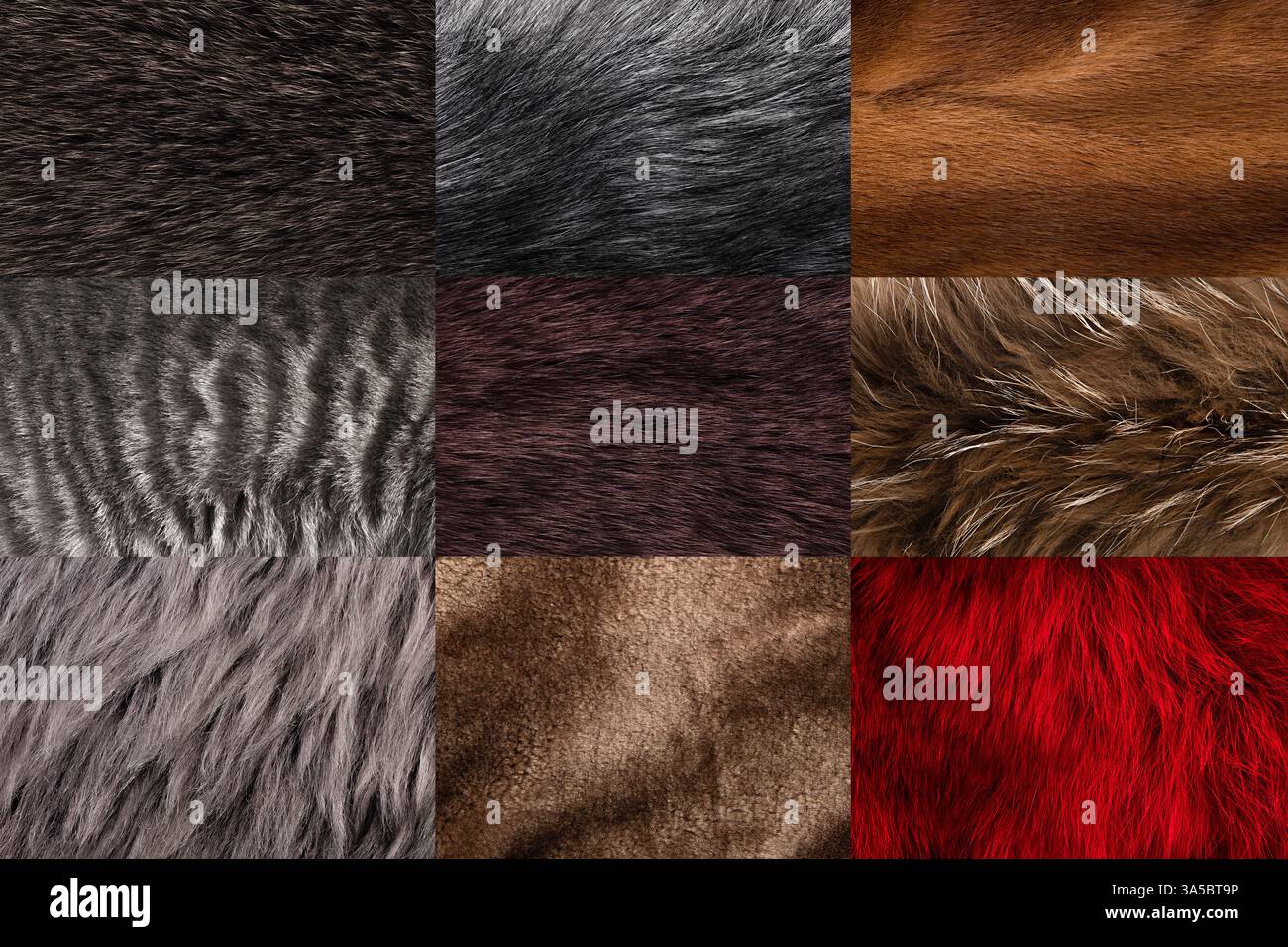 Set di sfondo di pelliccia animale testurizzata diversa. Foto Stock