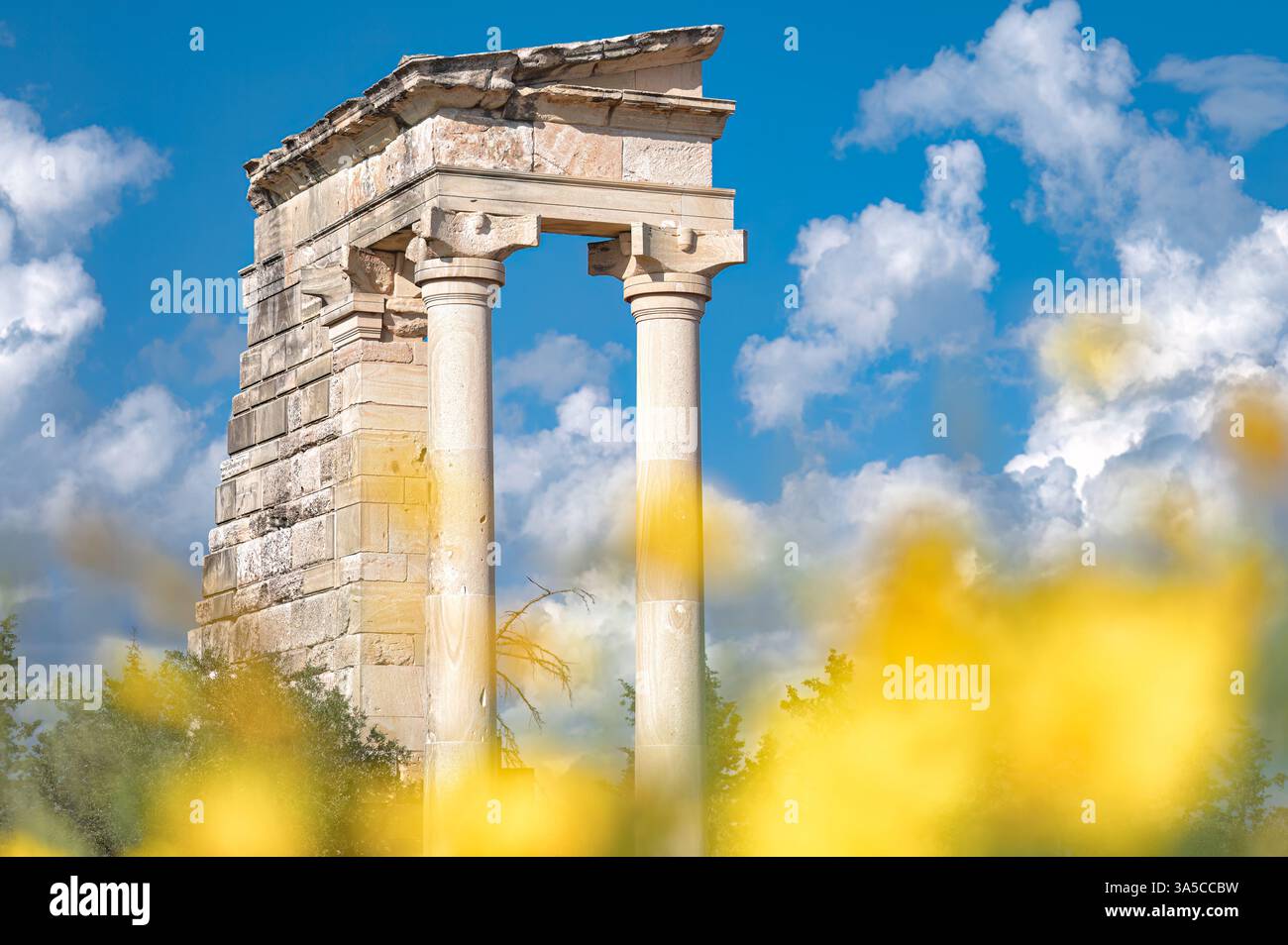 Il santuario di Apollo Hylates a Cipro è bagnato dal sole con fiori gialli in primo piano Foto Stock