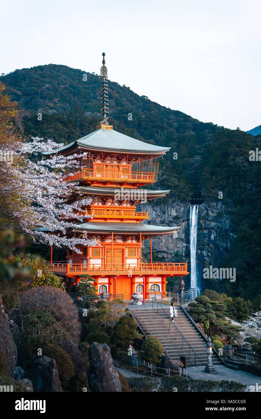 Splendida vista delle cascate Nachi e della Pagoda Seiganto-ji: Un maestoso mix di natura e tradizione nel cuore del paesaggio spirituale del Giappone! Foto Stock