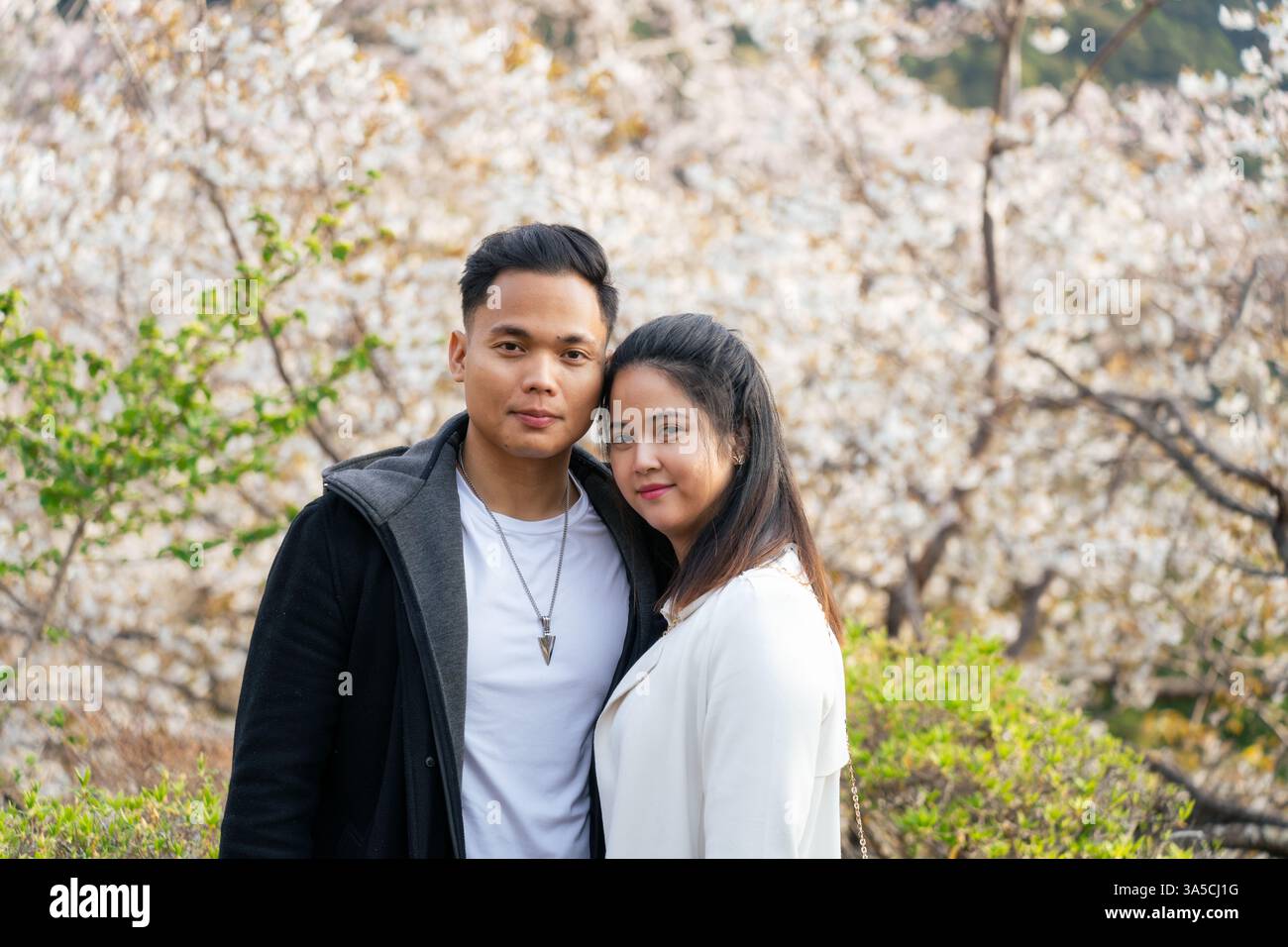 Momento romantico sotto i fiori di ciliegio - Una coppia che abbraccia l'amore tra gli splendidi alberi Sakura del Giappone, celebrando la bellezza e l'intimità della primavera! Foto Stock