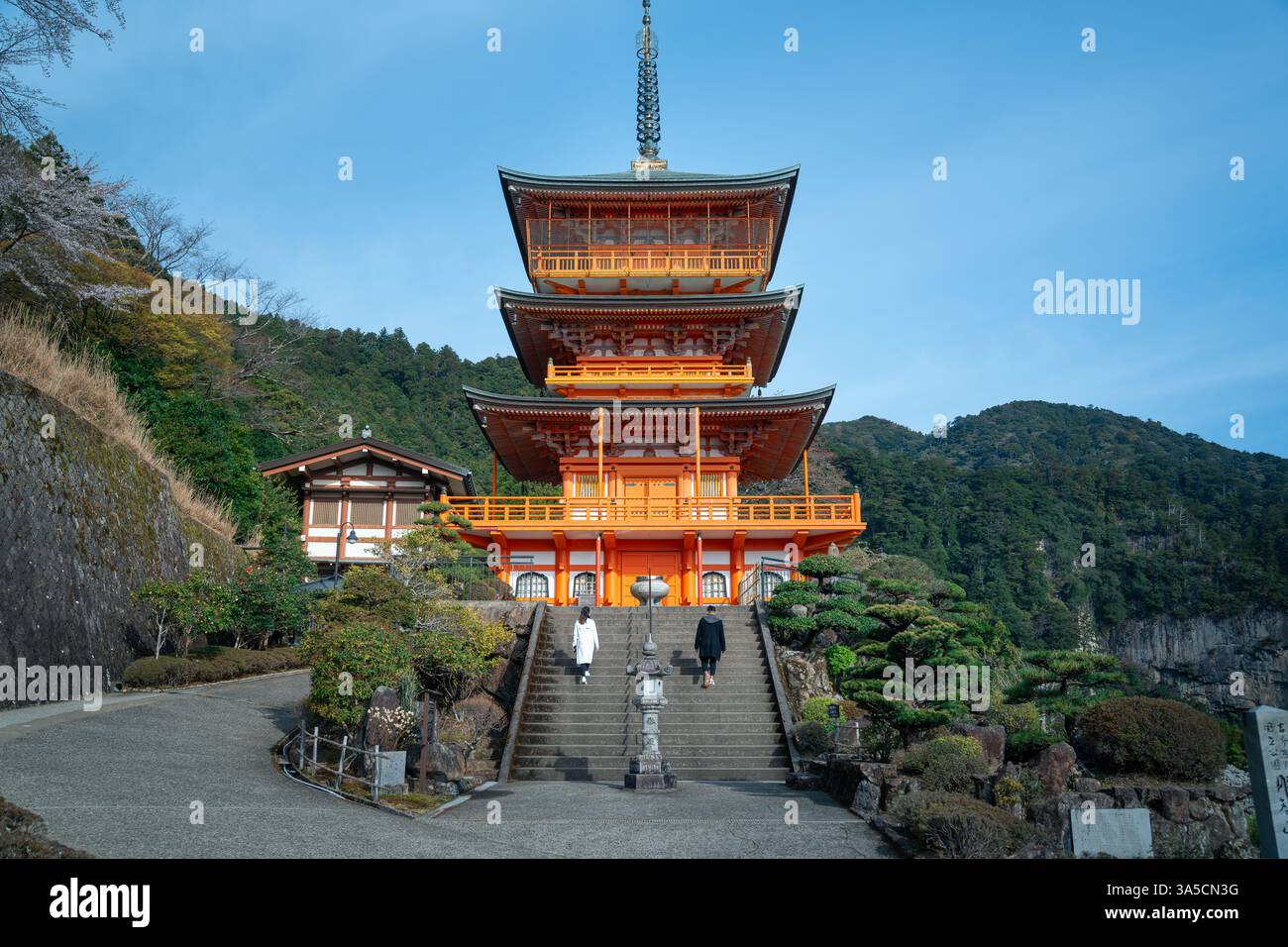 Splendida vista delle cascate Nachi e della Pagoda Seiganto-ji: Un maestoso mix di natura e tradizione nel cuore del paesaggio spirituale del Giappone! Foto Stock