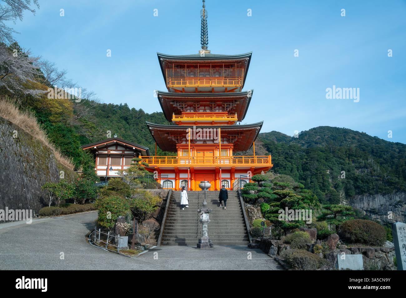 Splendida vista delle cascate Nachi e della Pagoda Seiganto-ji: Un maestoso mix di natura e tradizione nel cuore del paesaggio spirituale del Giappone! Foto Stock