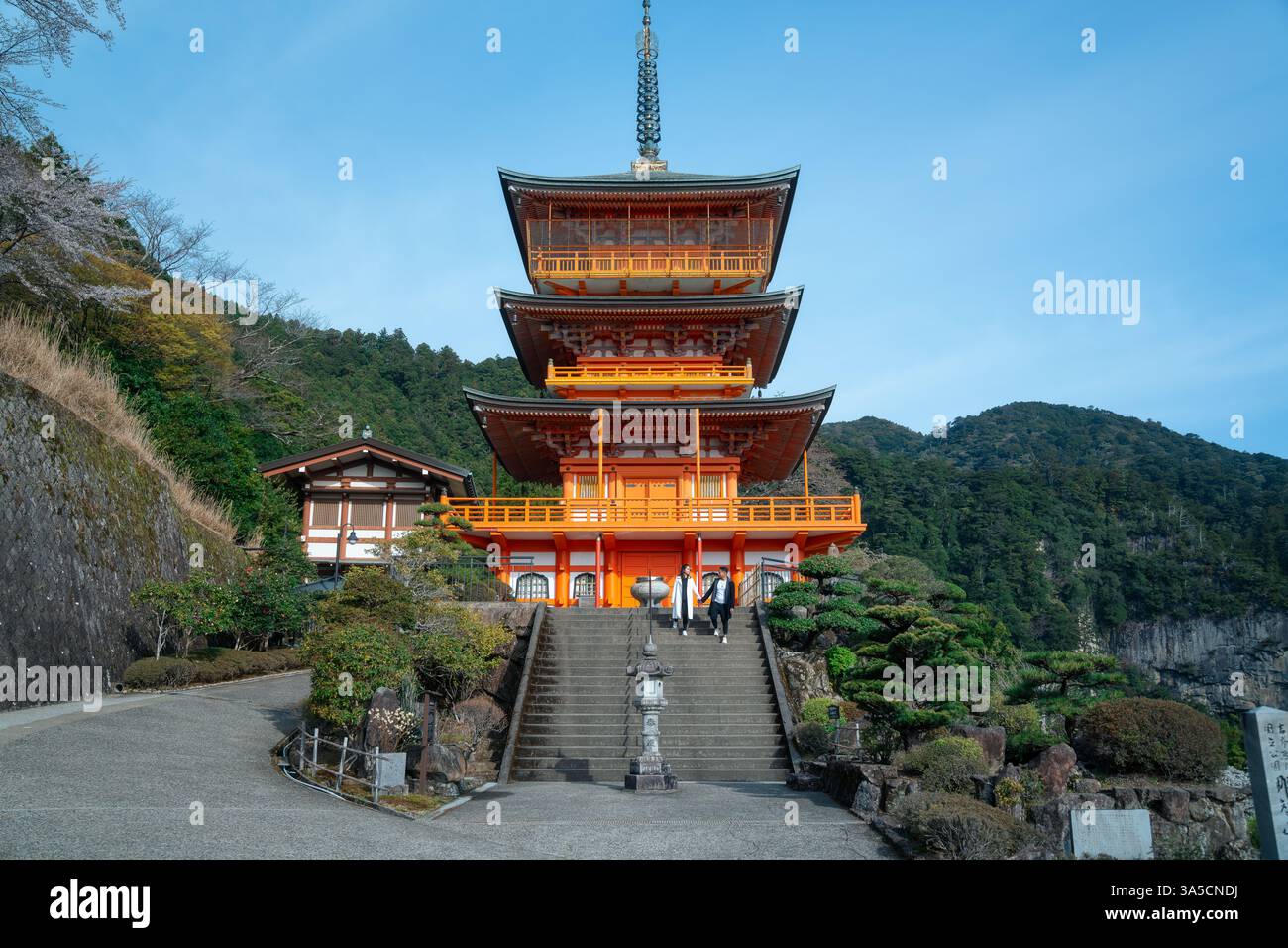Splendida vista delle cascate Nachi e della Pagoda Seiganto-ji: Un maestoso mix di natura e tradizione nel cuore del paesaggio spirituale del Giappone! Foto Stock