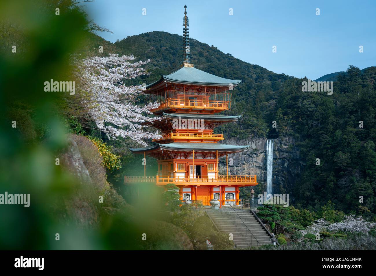Splendida vista delle cascate Nachi e della Pagoda Seiganto-ji: Un maestoso mix di natura e tradizione nel cuore del paesaggio spirituale del Giappone! Foto Stock