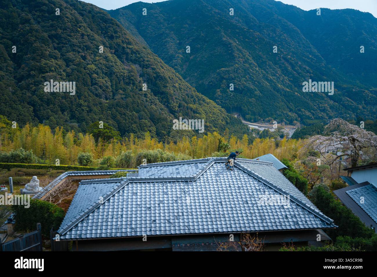 Cascate mozzafiato di Nachi e Tempio di Seiganto-ji incorniciati dai fiori di ciliegio, Un simbolo senza tempo della bellezza naturale e del patrimonio spirituale del Giappone! Foto Stock