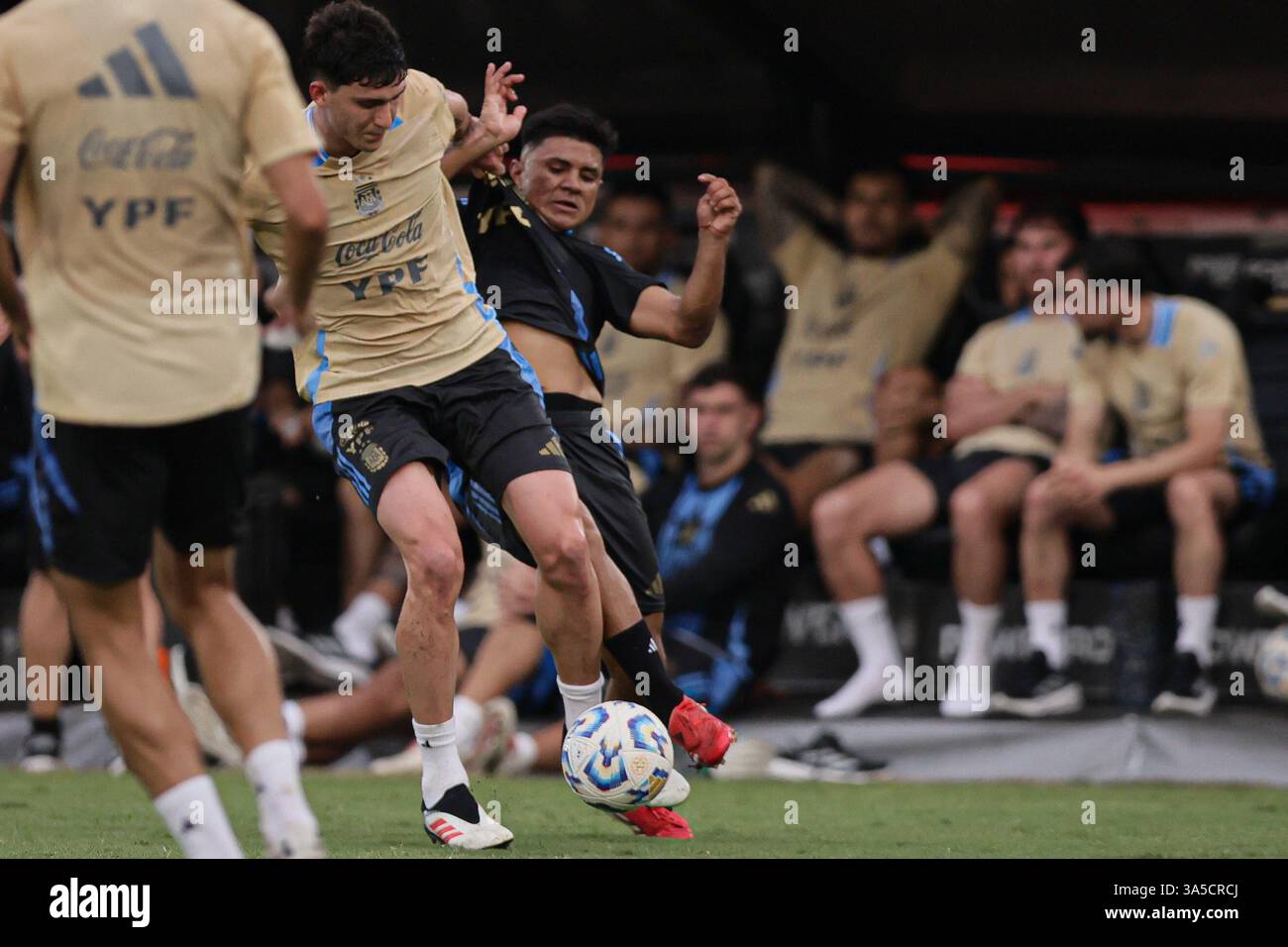 Buenos Aires, Argentina - 22 marzo 2025: La nazionale argentina di calcio, insieme alla squadra U-20, tiene una sessione di allenamento aperta all'Estadio Tomás Adolfo Ducó per raccogliere fondi per Bahía Blanca, che ha subito devastanti inondazioni il 7 marzo, lasciando 16 morti e causando massicce distruzioni. L'iniziativa mira a fornire aiuti finanziari e aiuti alle famiglie colpite. (Credito: AGENZIA UNAR) Foto Stock