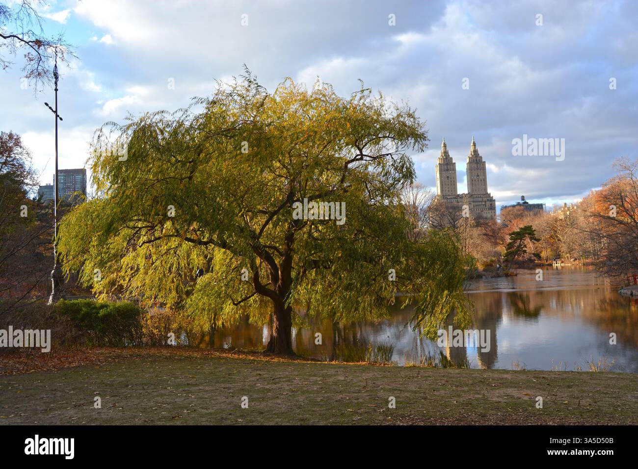 Tramonto a Central Park Manhattan, New York, Stati Uniti Foto Stock