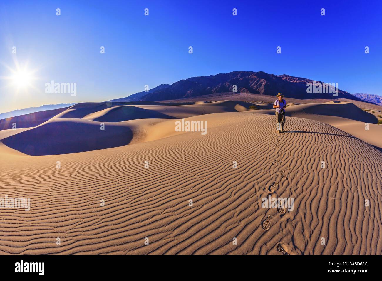 Donna - fotografa si trova tra le dune di sabbia dolcemente inclinate. Alba nelle sabbie arancioni del deserto di Mesquite Flat, Stati Uniti, Nord America Foto Stock