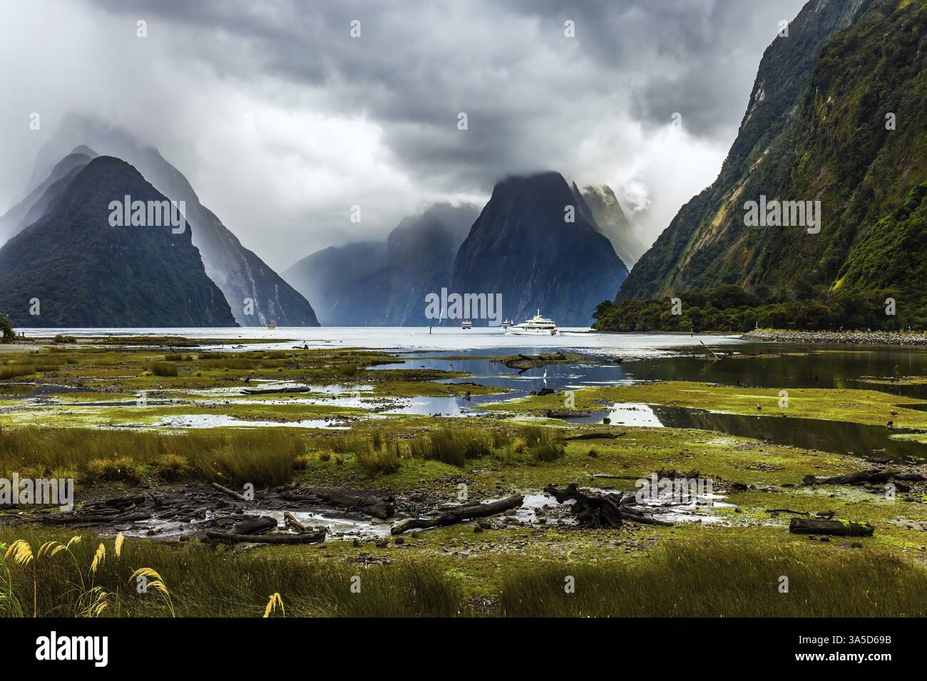 La luce del sole si irrompe attraverso le nuvole di tempesta. Paludosa, poco profonda, ricoperta di palude che costeggiano il fiordo. Nuova Zelanda - terra magica. Concetto di esotico, atto Foto Stock