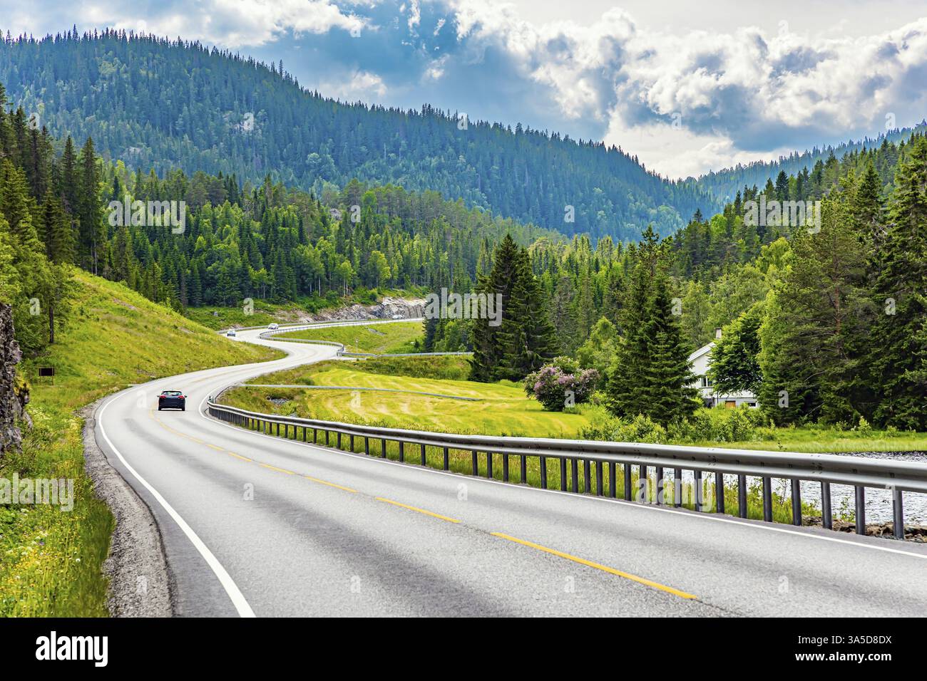 Pittoresca e tortuosa strada a serpentina per Roldal. Viaggio verso la Norvegia occidentale. Verdi montagne fiorite ricoperte di foreste di conifere. Caldo nuvoloso lug Foto Stock