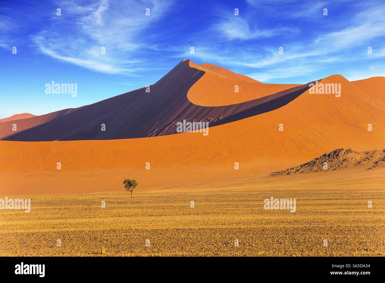Piccolo albero solitario in un vasto deserto. Dune arancioni, viola e gialle del deserto del Namib. Il concetto di turismo estremo ed esotico. Namibia, South AFR Foto Stock