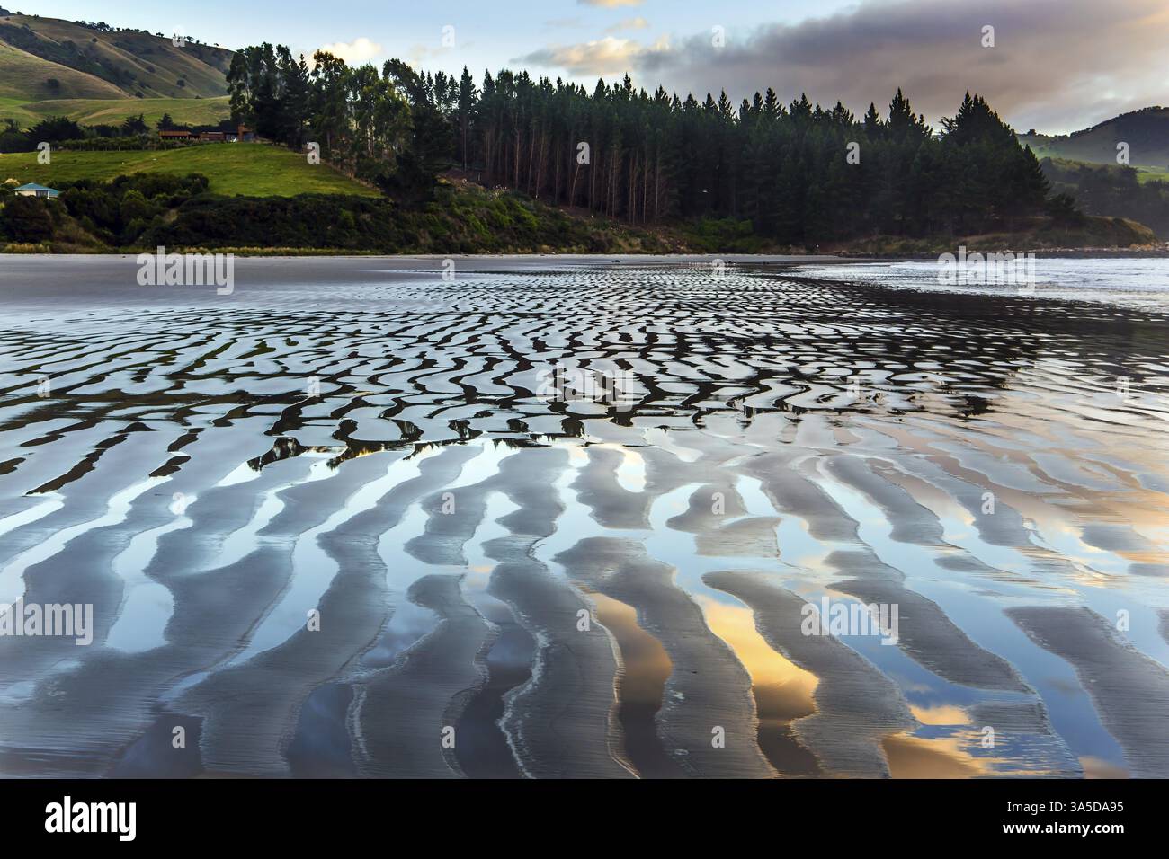 Alba sull'oceano. Bassa marea. Strisce di sabbia e acqua lasciate dalla marea oceanica. Nuova Zelanda, costa del Pacifico. Il concetto di fotografia artistica. Conf Foto Stock