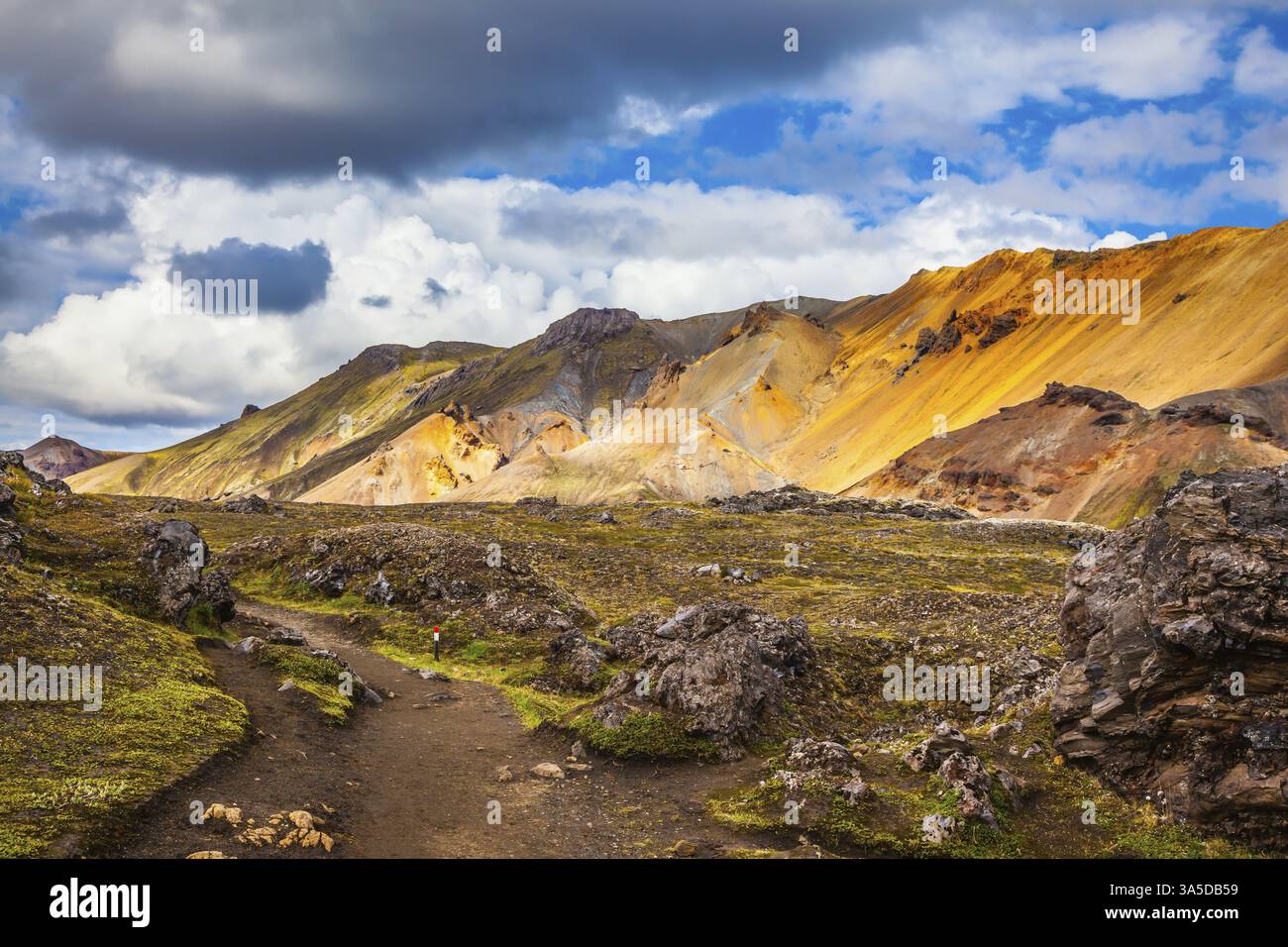 Viaggio in Islanda nel mese di luglio, tundra vulcanica estiva. Montagne multicolore di riolite - arancione, giallo, verde e blu Foto Stock