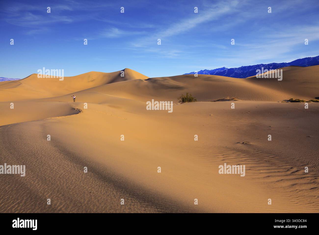 Alba nella sabbia arancione del deserto di Mesquite Flat, Stati Uniti. La donna anziana, fotografa con una t-shirt a righe, va tra le dune di sabbia Foto Stock