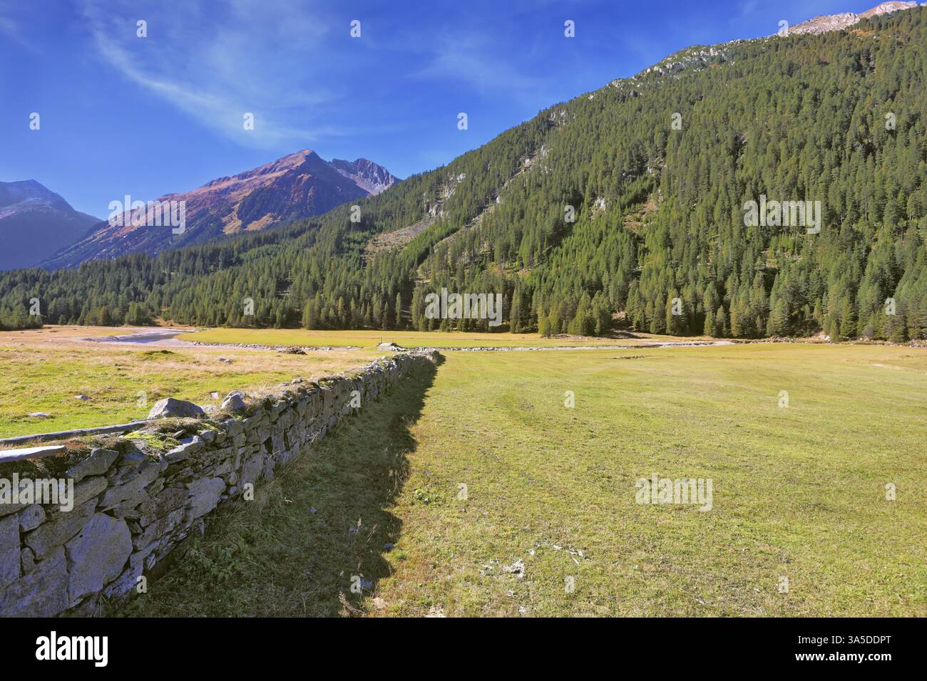 Campi panoramici bloccati dalla recinzione in pietra. L'ombra della recinzione bassa giace splendidamente sull'erba. Valle alpina in Austria. Parco nazionale di Krimml wa Foto Stock