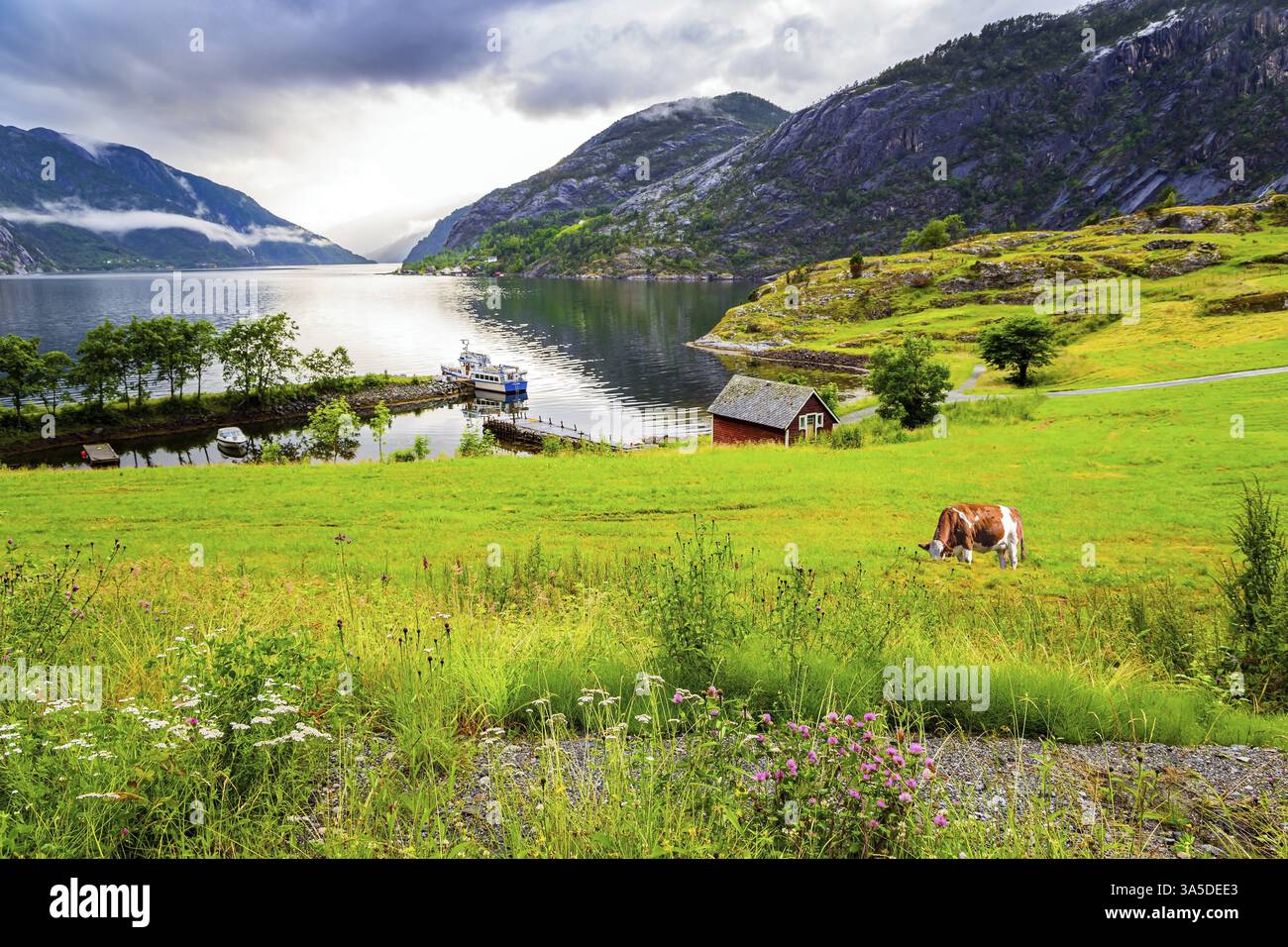 L'acqua liscia del fiordo di acri. Luglio freddo piovoso in Norvegia. Maestoso fenomeno naturale Foto Stock