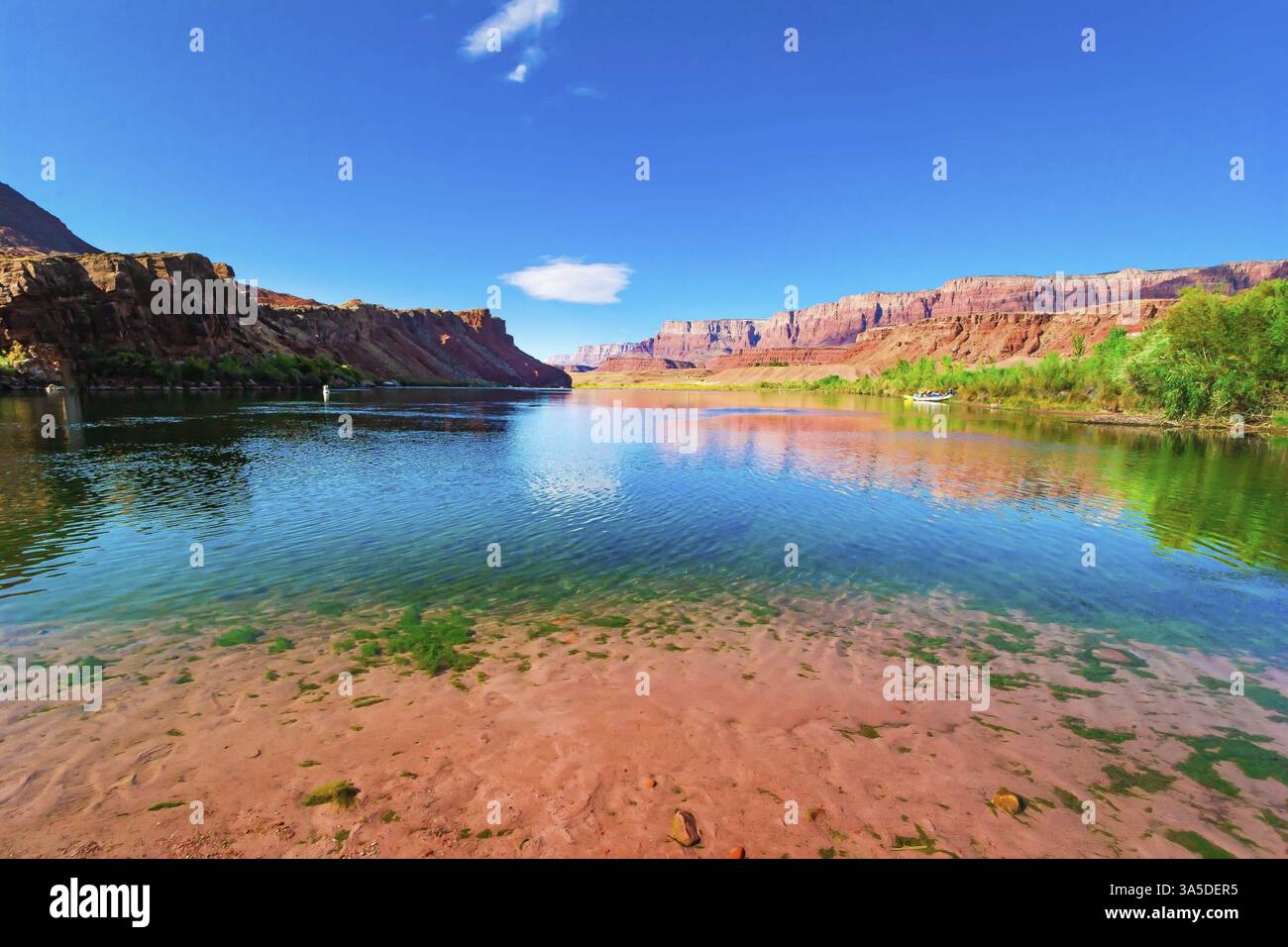 Il canyon multicolore di arenarie Navajo rosse, arancioni e gialle. L'acqua del fiume Colorado riflette le ripide rocce. La storica Lees Ferr Foto Stock