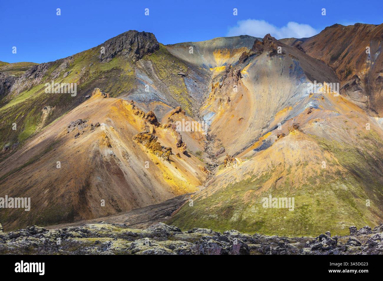 Viaggio in Islanda a luglio. Tundra vulcanica estiva. Le montagne multicolore della riolite sono illuminate dal sole Foto Stock