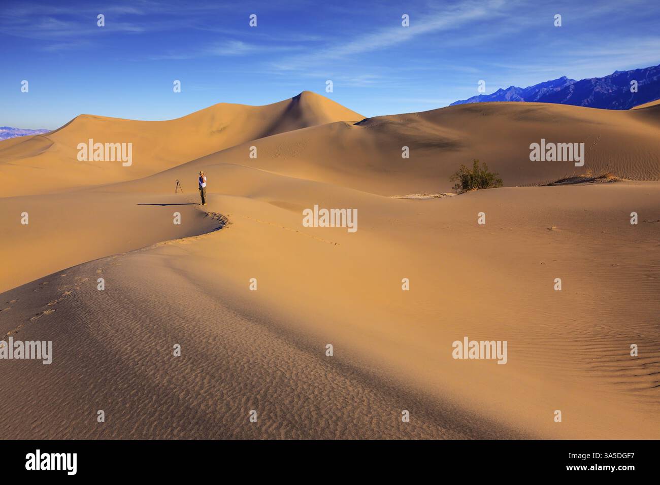 Donna - fotografa con una maglietta a righe è tra le dune di sabbia. Alba nelle sabbie arancioni del deserto di Mesquite Flat, Stati Uniti, Nord America Foto Stock