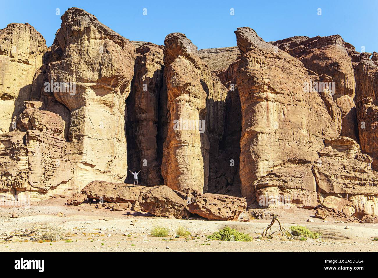 Colonne Salomone del parco di Timna. Sono stati formati naturalmente dall'erosione di arenaria rossa dura. Magnifiche rocce di arenaria multicolore. La località di e Foto Stock