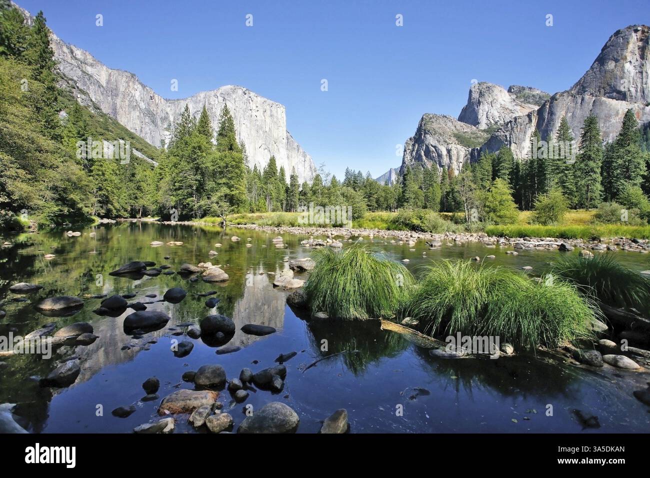 La magnifica Yosemite Valley. L'enorme monolite di granito El Capitan e il cielo azzurro si riflettono nelle acque lisce del fiume Mersed Foto Stock