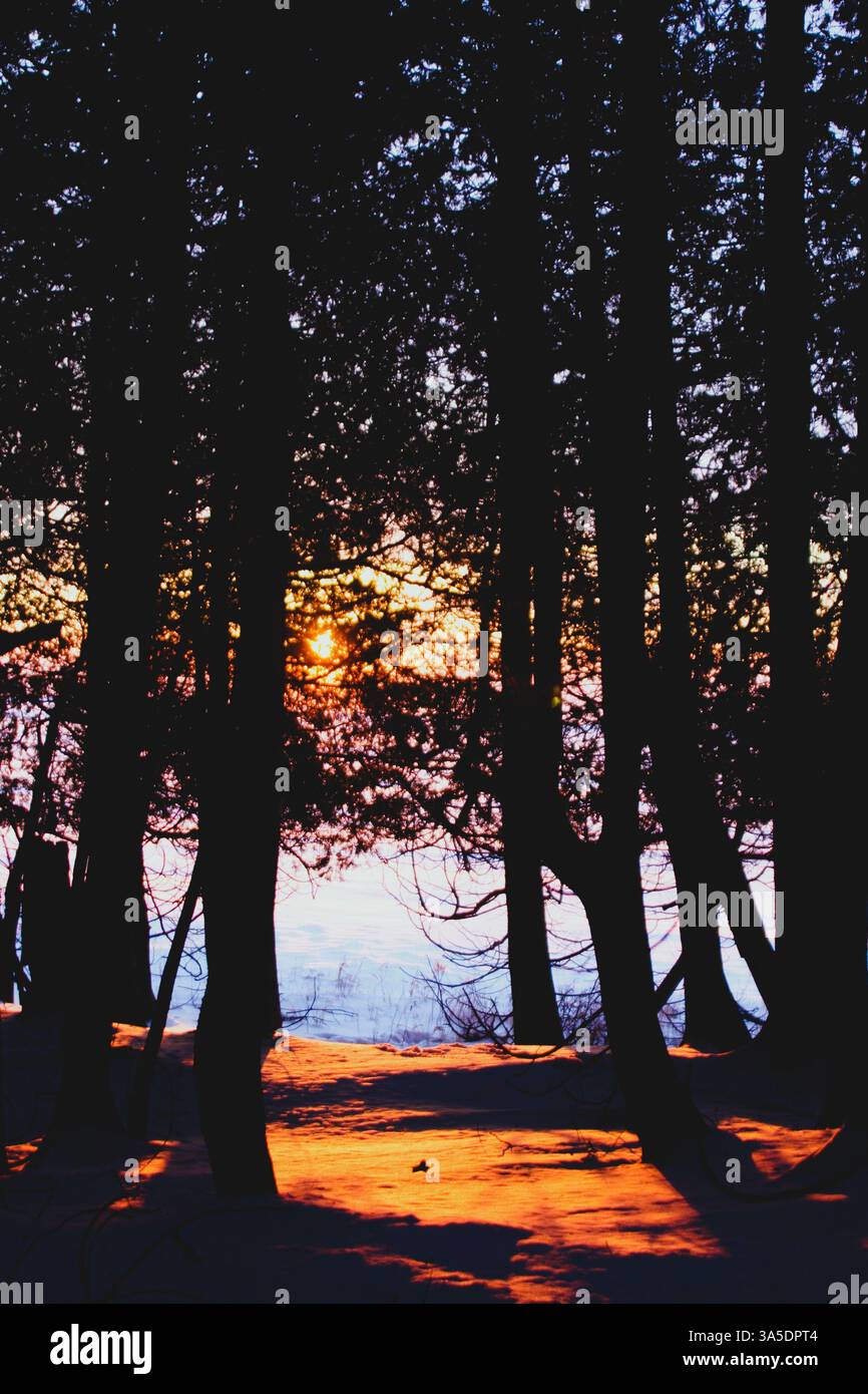 Un colorato tramonto pieno di una serie di arance e rosa attraverso gli alberi sulla riva del lago Michigan a Stonington. L'area è conosciuta per la spiaggia Foto Stock