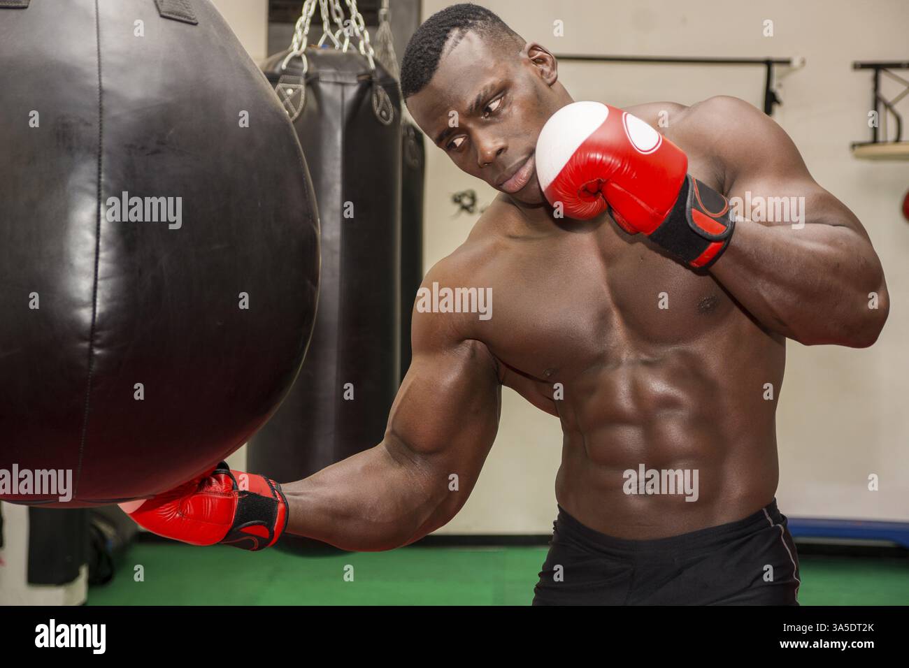 Nero Africa boxer maschio sfera di punzonatura che indossa guantoni da pugilato in palestra Foto Stock