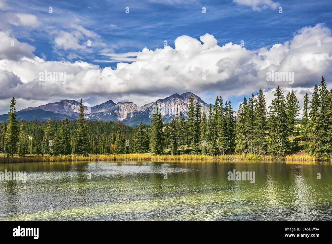 Il lago è circondato da abeti sempreverdi. Il piccolo lago nelle Montagne Rocciose del Canada Foto Stock