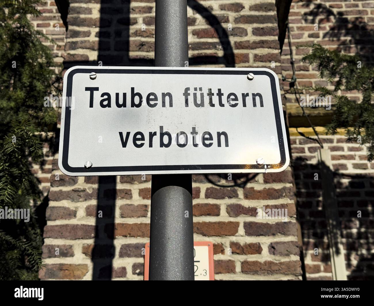 Nessuna insegna di alimentazione dei piccioni attaccata al lampione nel centro della città, in Germania, in Europa Foto Stock