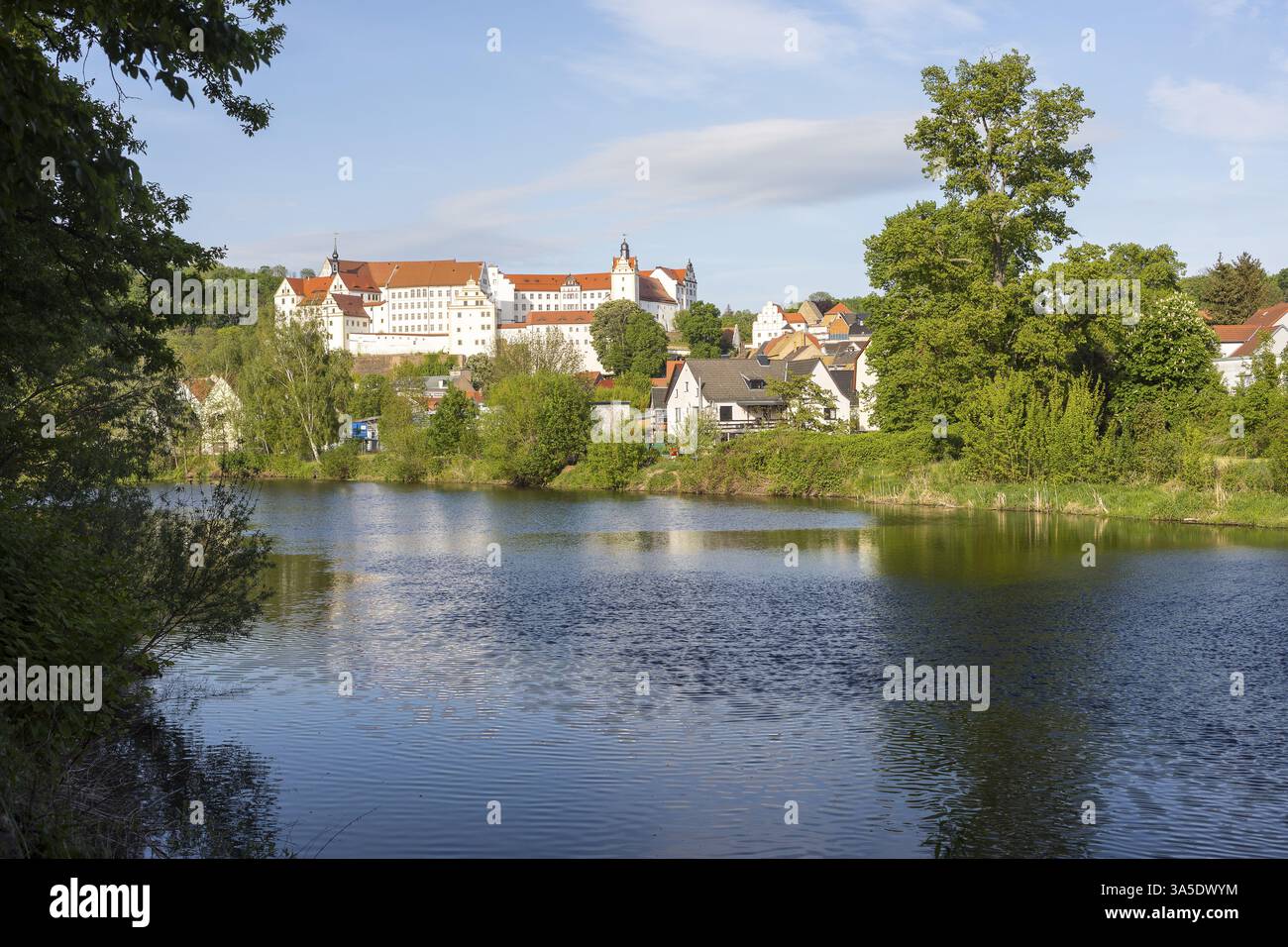 Vista sulla città con castello e Zwickauer Mulde, Colditz, Sassonia, Germania, Europa Foto Stock