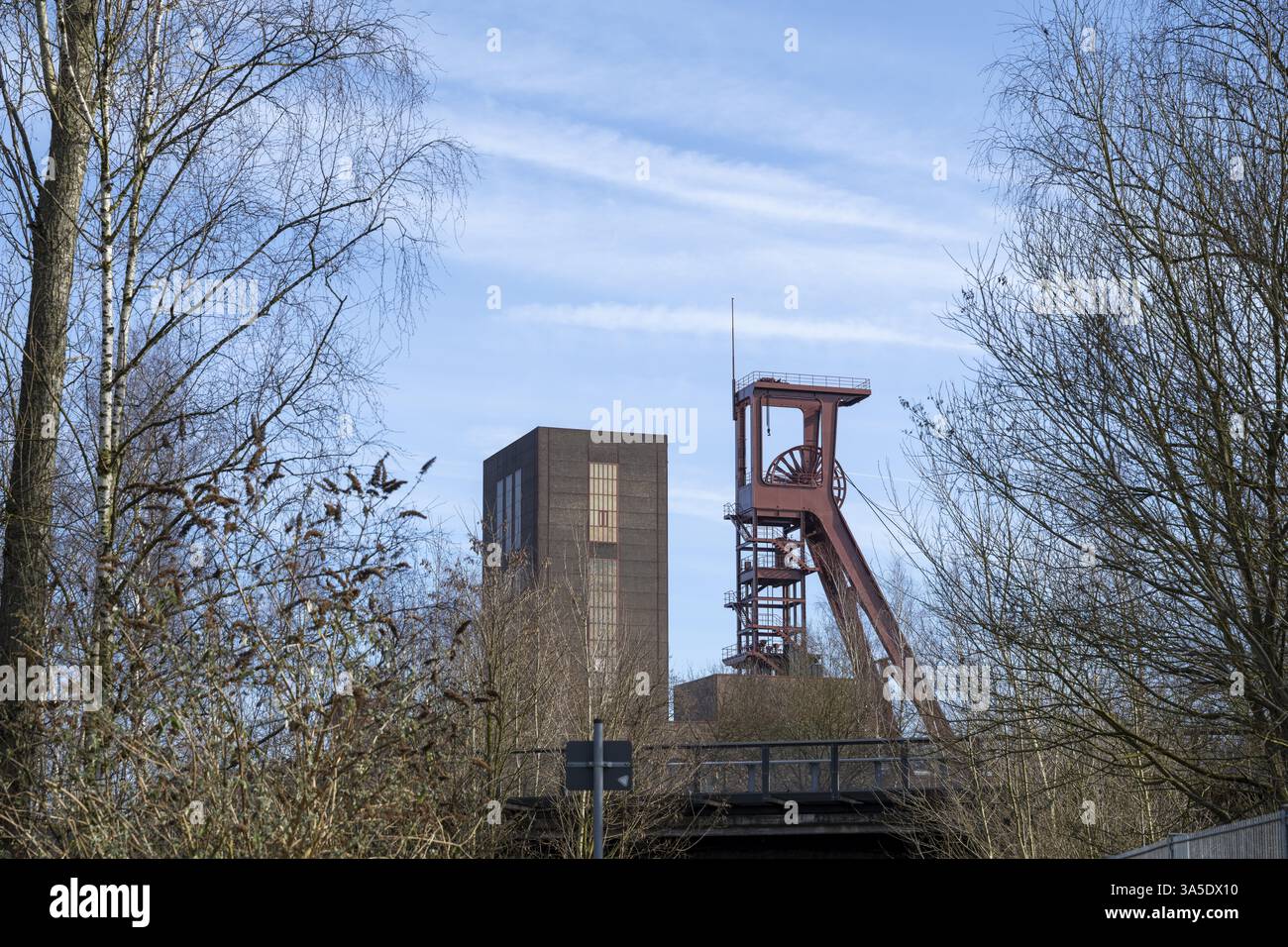 Testata, complesso industriale della miniera di carbone di Zollverein, sito patrimonio dell'umanità dell'UNESCO, Essen, regione della Ruhr, Renania settentrionale-Vestfalia, Germania, Europa Foto Stock