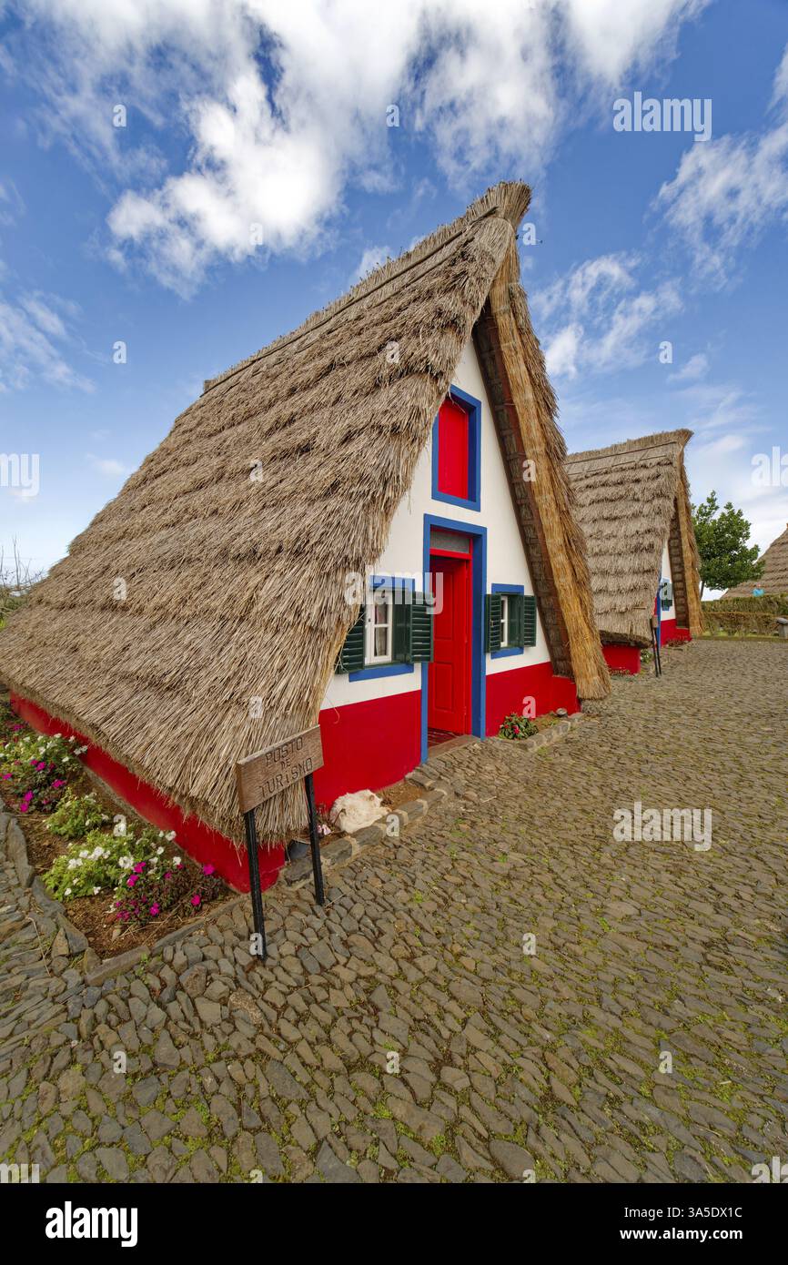 Tipiche case di paglia tradizionali Casinhas de Santana, punto di riferimento, riserva della biosfera dell'UNESCO, evento turistico, Santana, Madeira, Portogallo, Europa Foto Stock