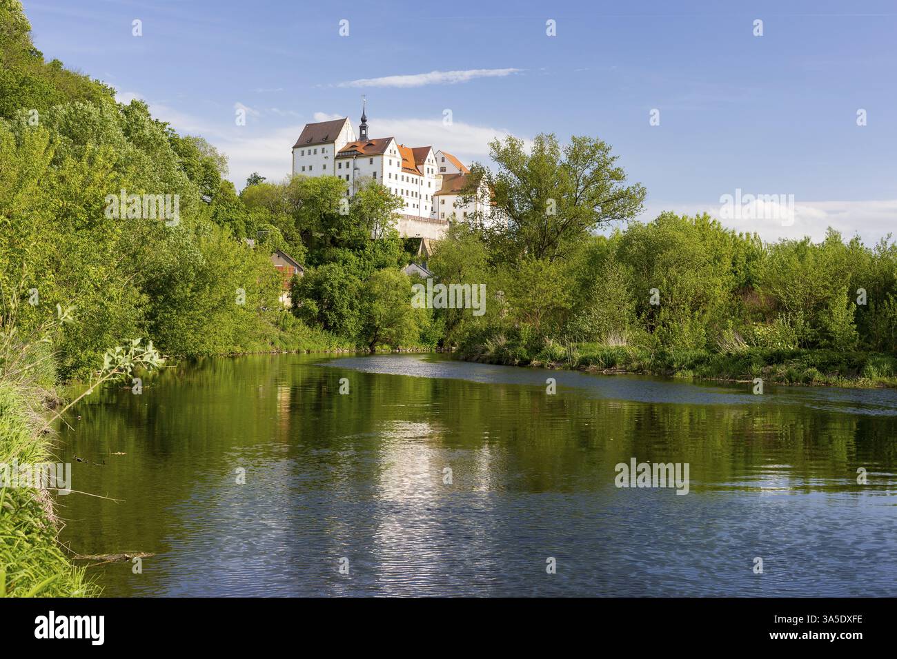 Castle e Zwickauer Mulde, Colditz, Sassonia, Germania, Europa Foto Stock