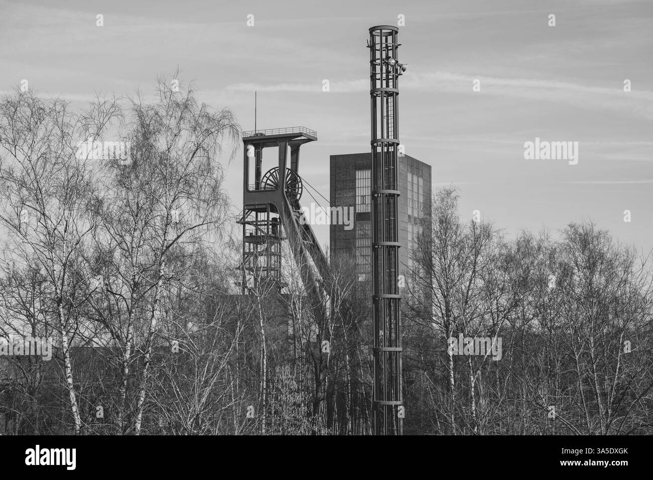 Testata, complesso industriale della miniera di carbone di Zollverein, sito patrimonio dell'umanità dell'UNESCO, Essen, regione della Ruhr, Renania settentrionale-Vestfalia, Germania, Europa Foto Stock