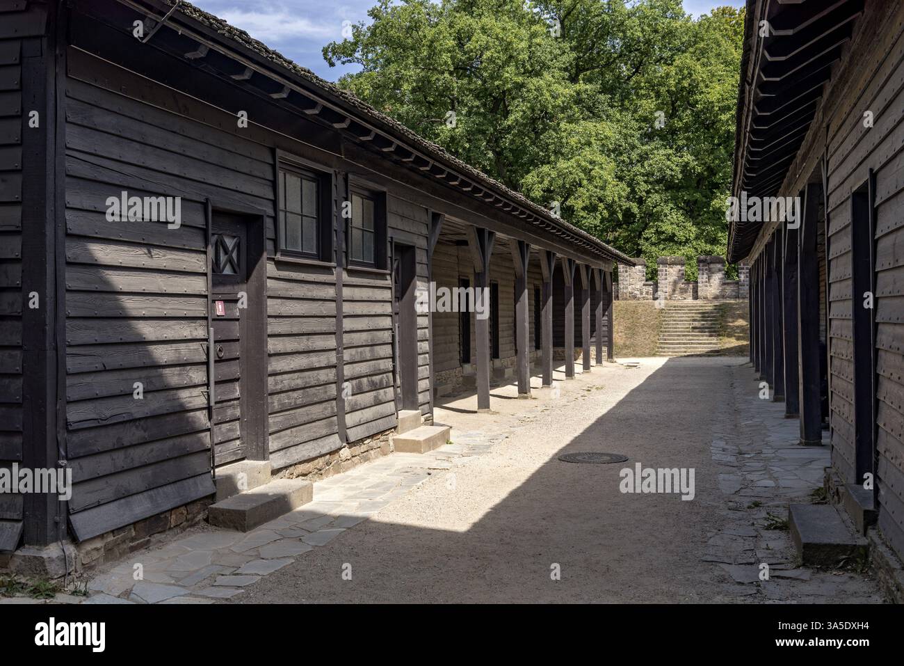 Caserme della squadra centuriae, quartieri dei soldati, forte romano di Saalburg, fortezza ricostruita della coorte, museo, parco archeologico, alta Raetia germanica Foto Stock