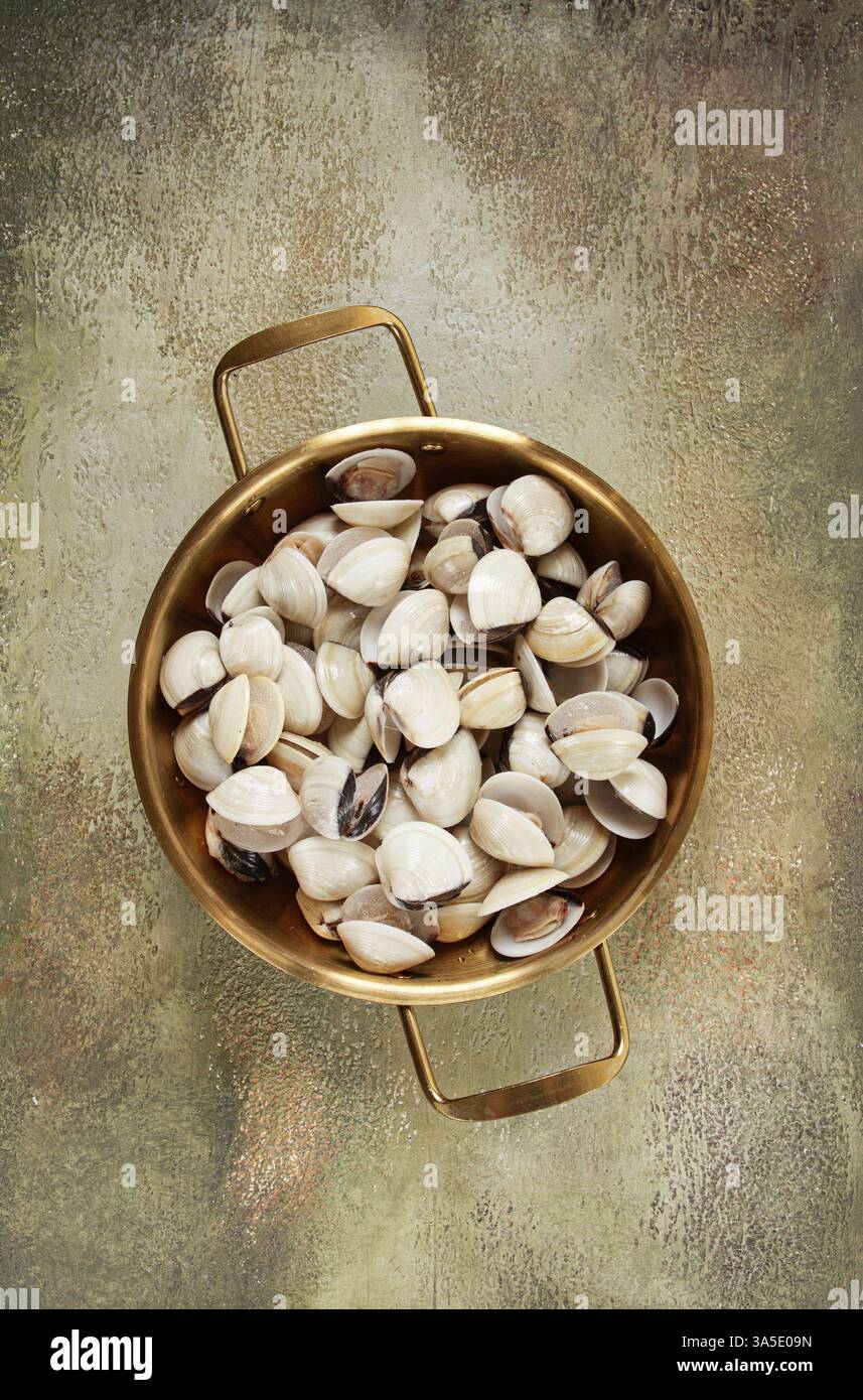 Vongole appena surgelate, in una padella, vista dall'alto, niente persone Foto Stock