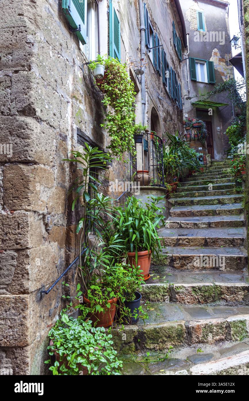 Italia, Toscana meridionale. La città tufa di Sorano è incantata da una fiaba. I gradini di pietra e i vasi di fiori con ciclamini fioriti. Il co Foto Stock