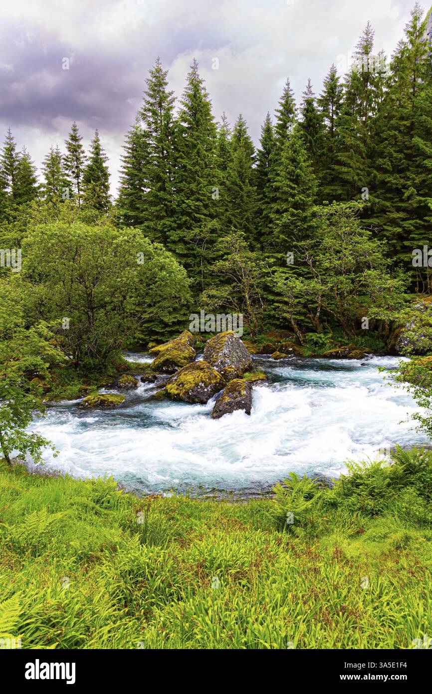 Ruscello schiumoso di acqua fredda che scorre dal lago Bondhuswatnet. Verde smeraldo di erba estiva. Magnifica Norvegia Foto Stock