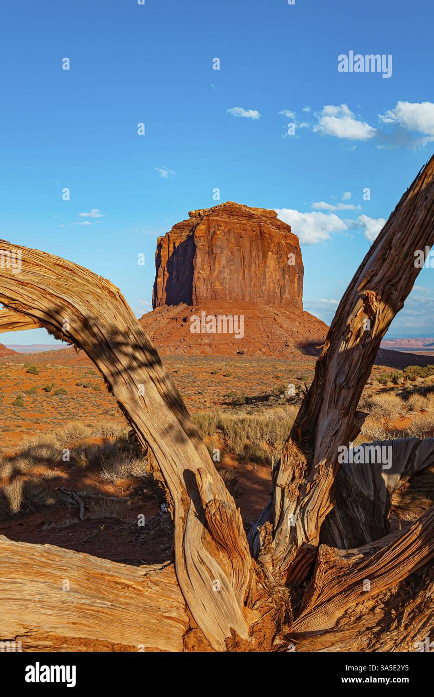Merrick Butte. Monument Valley. STATI UNITI. Riserva indiana Navajo. L'Altopiano del Colorado è costituito da pittoresche arenarie rosse Foto Stock