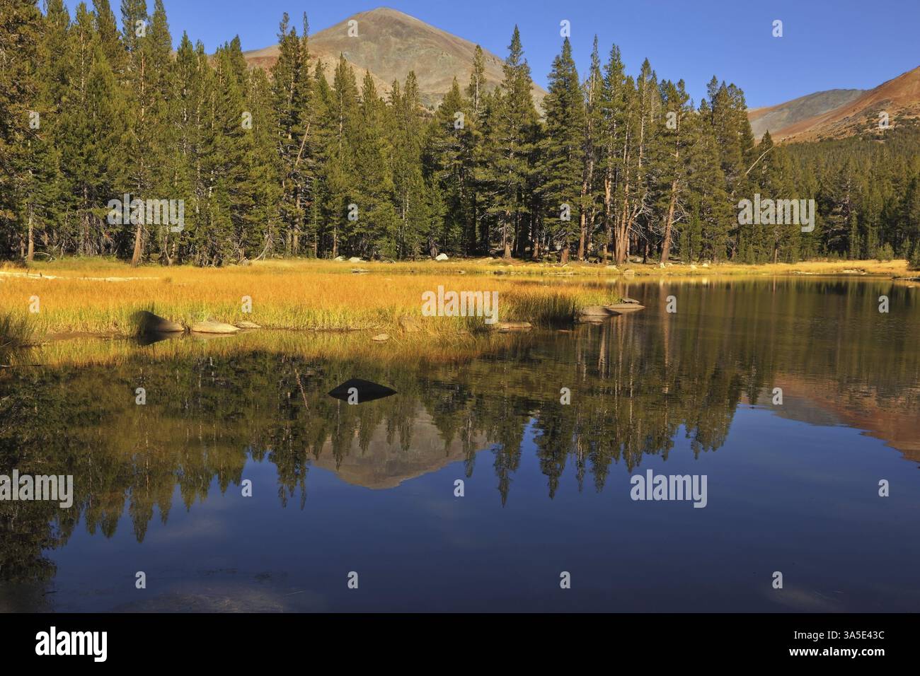Incantevole lago poco profondo. Le montagne e il legno si riflettono in uno specchio d'acqua liscio Foto Stock