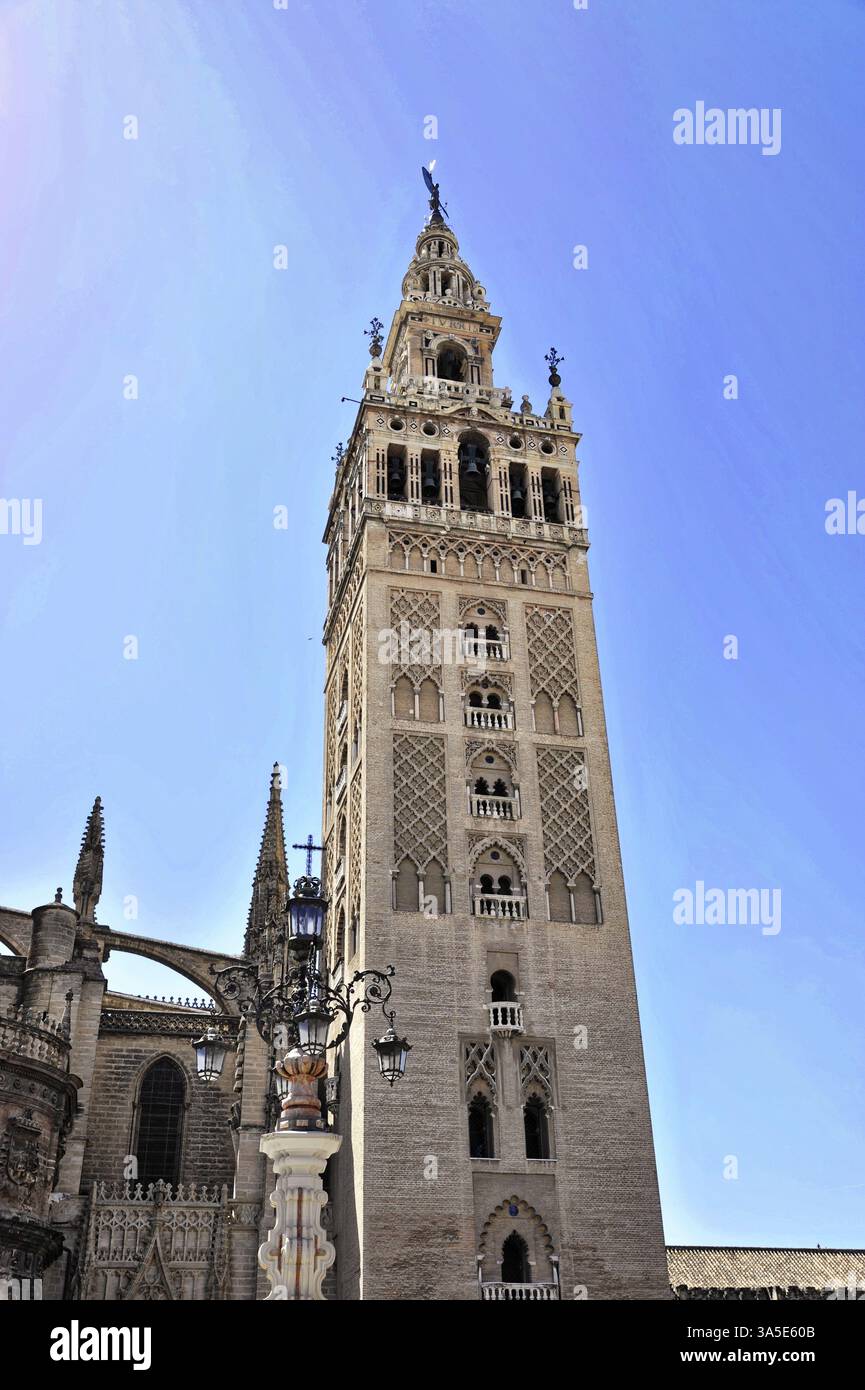 Campanile in pietra gotica su un cielo blu con dettagli architettonici decorativi, Siviglia, Andalusia, Spagna, Europa Foto Stock