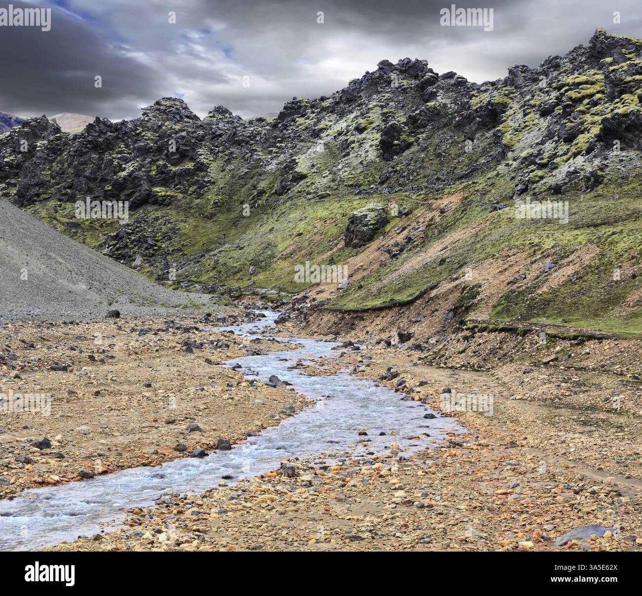 Gorge Valley Landmannalaugar. La gola scorre in abbondanza Foto Stock