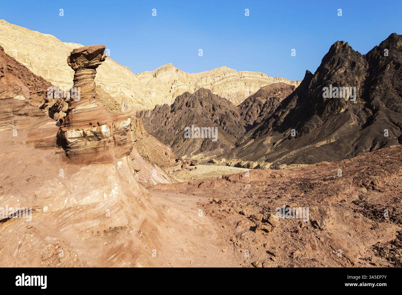 Bizzarre forme di pietra arenaria intemperata nelle montagne di Eilat. Le rocce sono composte da arenaria, rocce ignee e vulcaniche. Montagne Eilat. Tazza Foto Stock