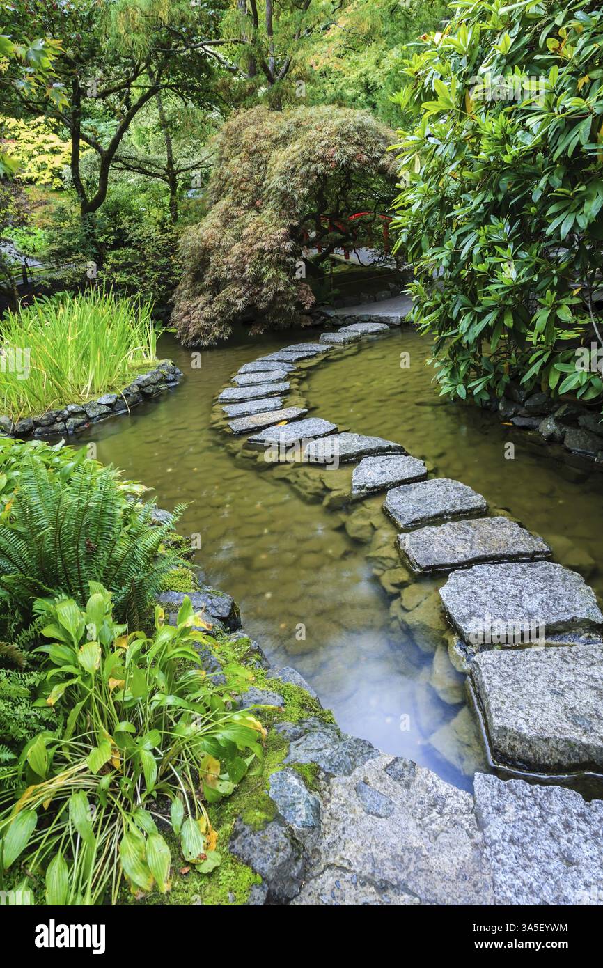 La pista delle pietre nella parte giapponese del giardino. Splendido giardino privato decorativo nel Canada occidentale - Butchart Gardens Foto Stock