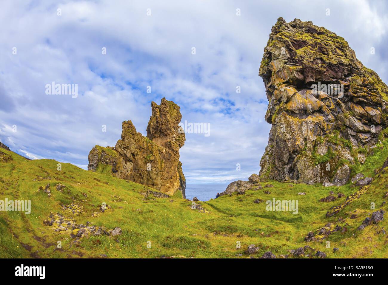 Magnifica Islanda. Costa del mare settentrionale. Le pittoresche rocce antiche ricoperte di muschio verde e giallo Foto Stock