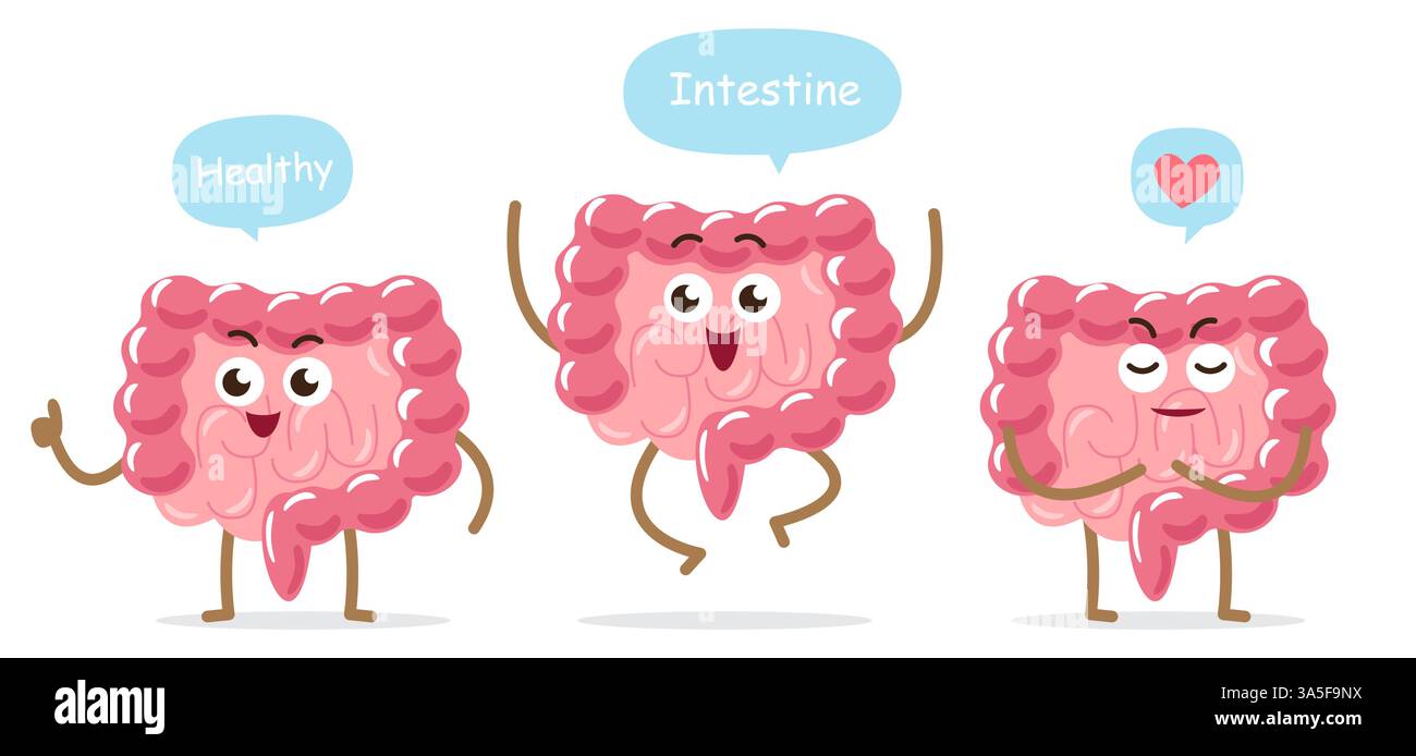Personaggi cartoni animati intestino sano . Sfondo bianco isolato . Vettore . Illustrazione Vettoriale
