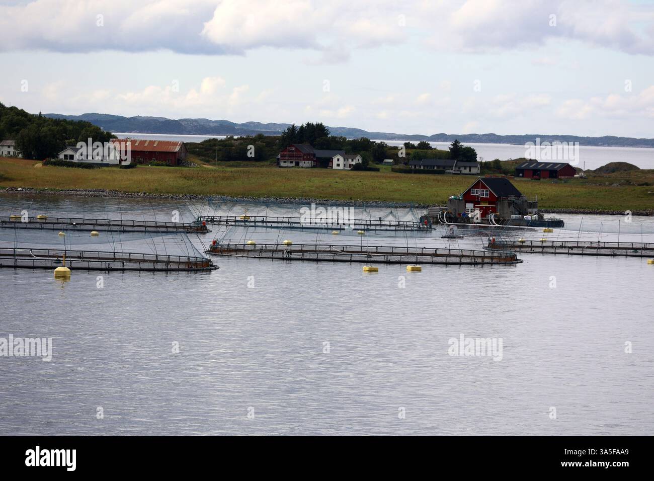 Allevamento di salmoni nella provincia di Rogaland nel sud della Norvegia Foto Stock