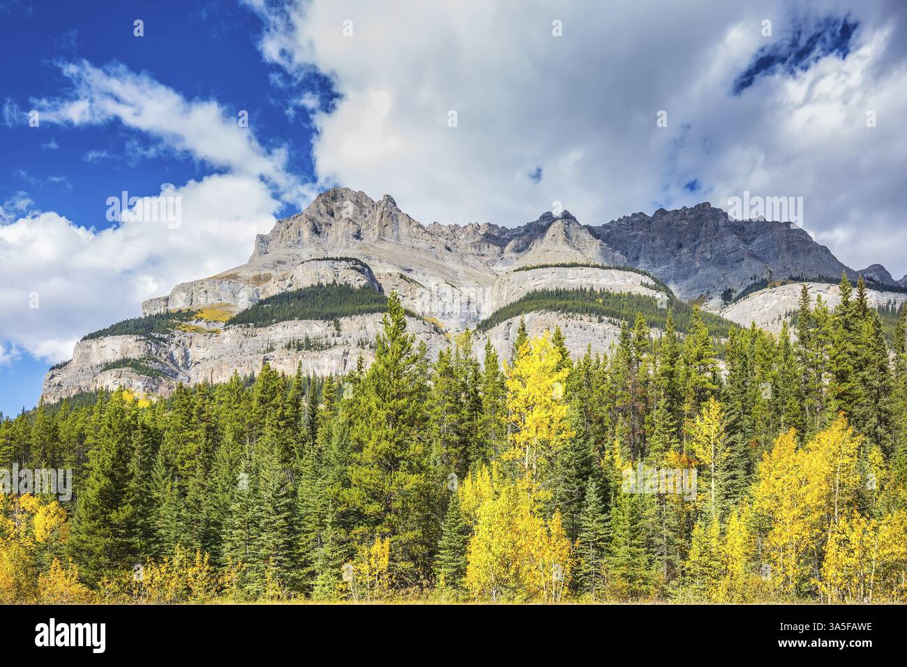 Foreste di conifere sempreverdi, montagne maestose e cespugli autunnali gialli. Splendida natura delle Montagne Rocciose del Canada Foto Stock